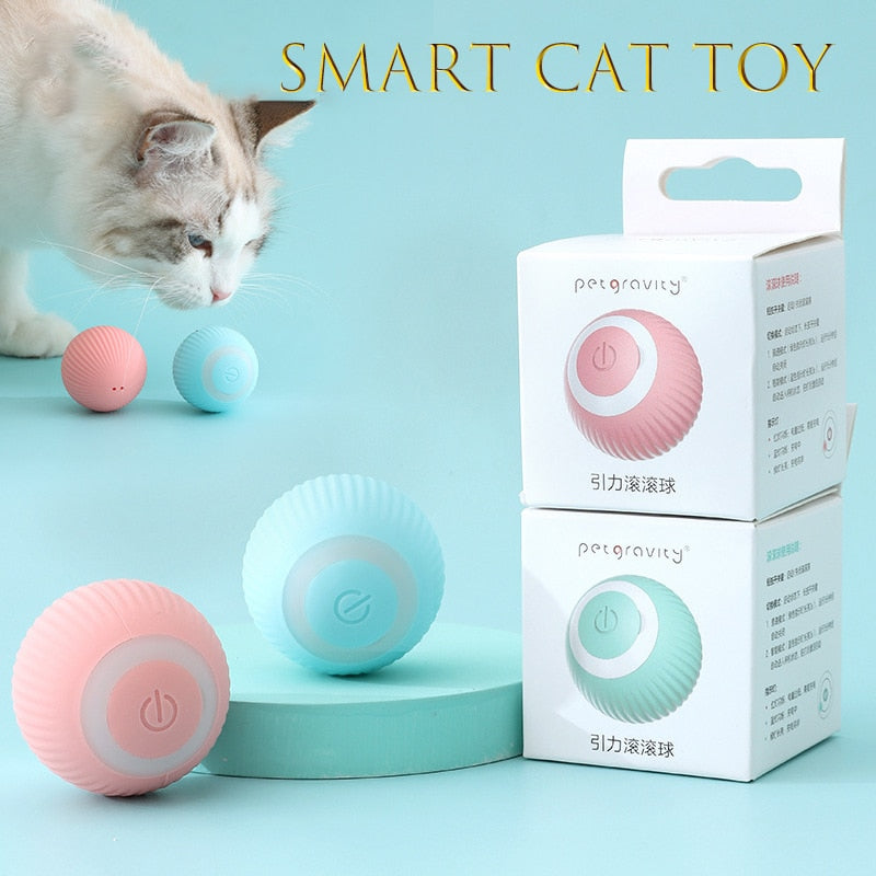Smart Pet Gravity Ball