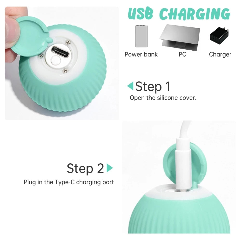 Smart Pet Gravity Ball