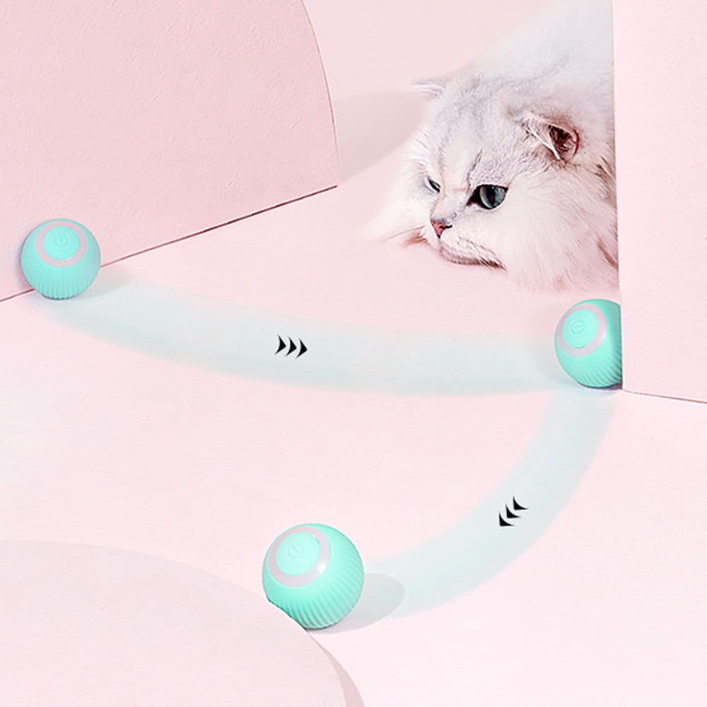 Smart Pet Gravity Ball