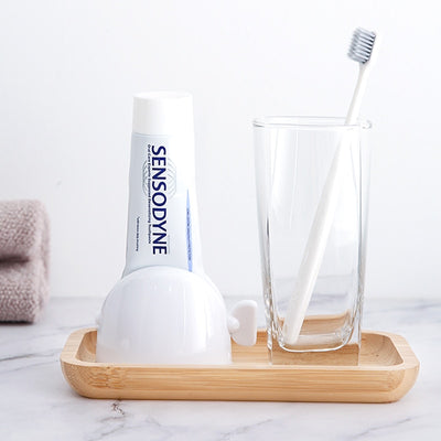 Toothpaste Holder Squeezer