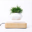 Floating Flower Pot Gadget
