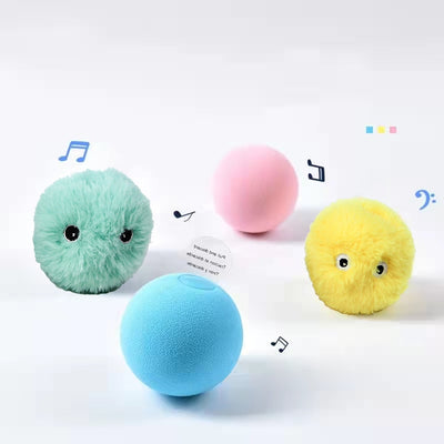 Sound Ball Pet Toy
